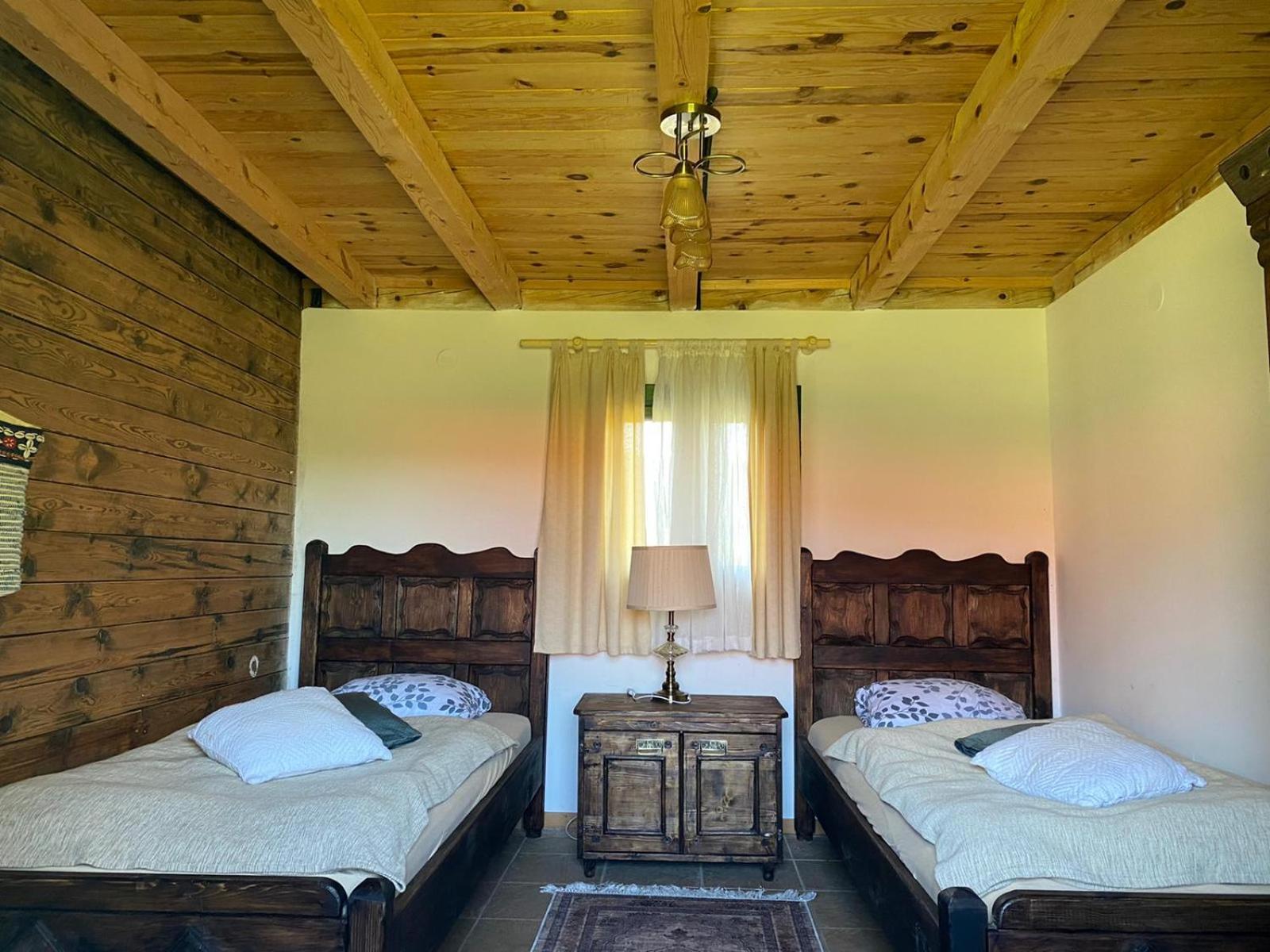 Camp Viljamovka Apartment Kremna Ngoại thất bức ảnh