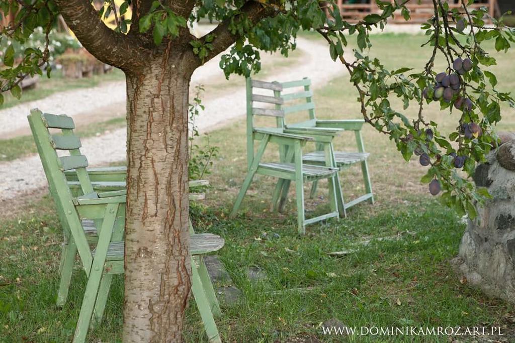 Camp Viljamovka Apartment Kremna Ngoại thất bức ảnh