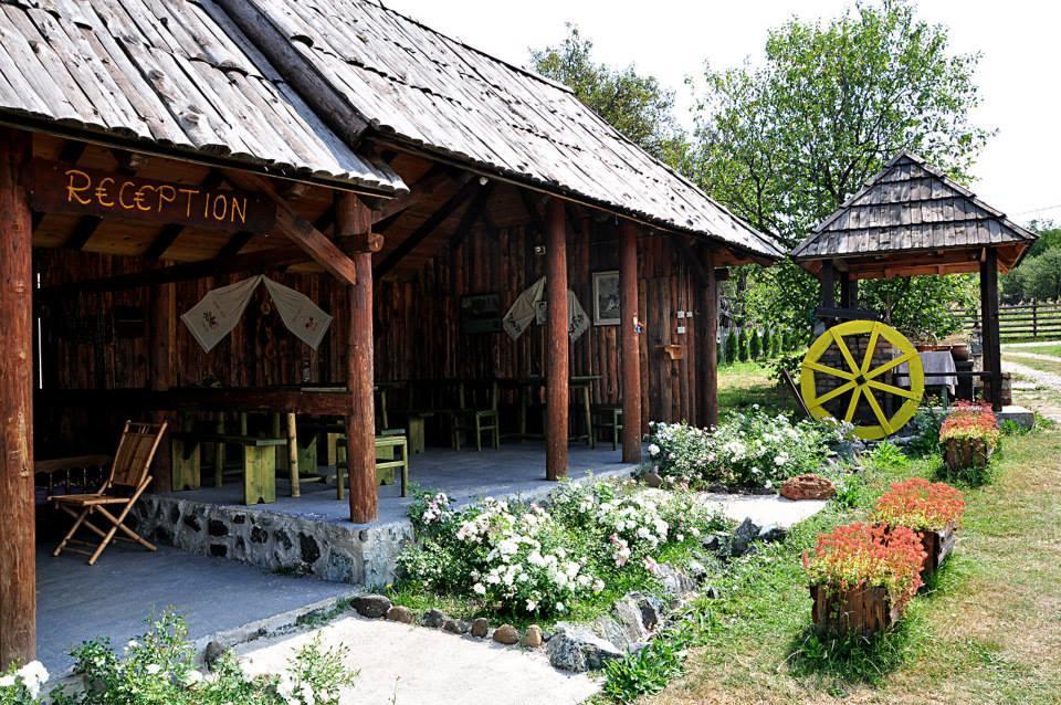 Camp Viljamovka Apartment Kremna Ngoại thất bức ảnh