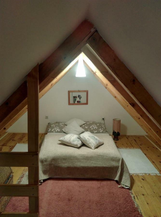 Camp Viljamovka Apartment Kremna Ngoại thất bức ảnh