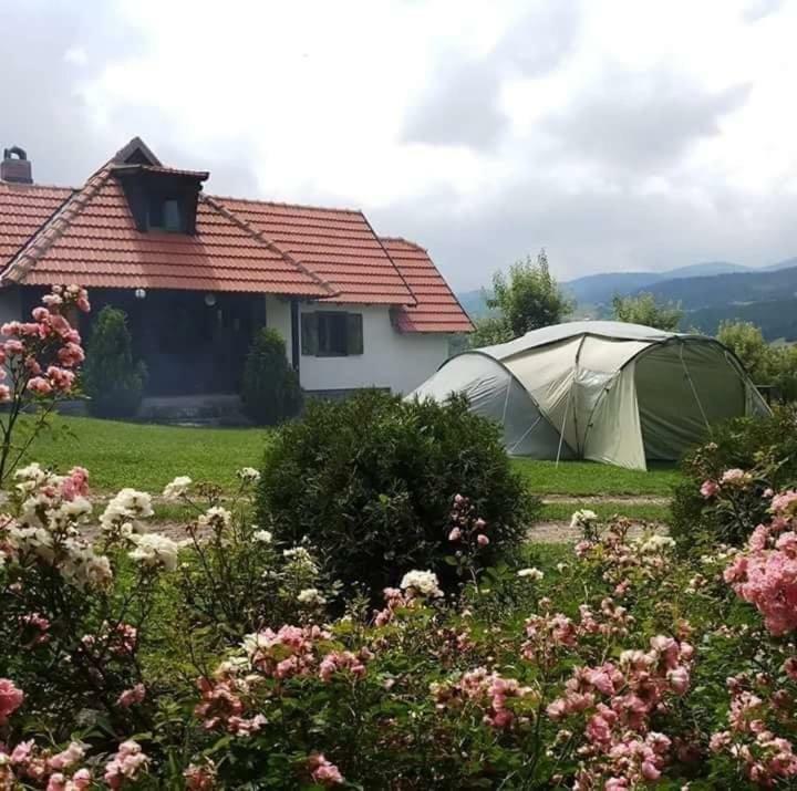 Camp Viljamovka Apartment Kremna Ngoại thất bức ảnh